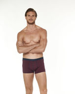 Picture of Moški bokser 017-4744