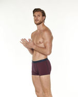 Picture of Moški bokser 017-4744