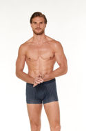 Picture of Moški bokser 017-4744